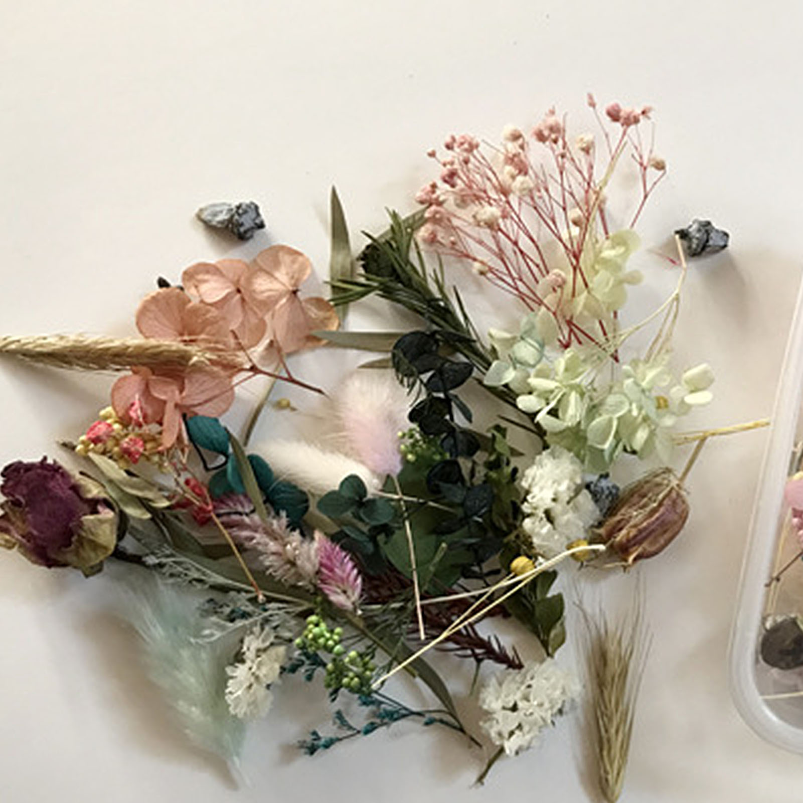 자연 말린 꽃 키트 누르면 삽화 공예 잎 허브 DIY  - Candle Making Kit Diy 리뷰 및 가격